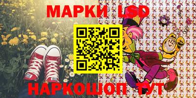 шишки Гай