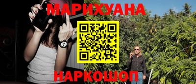 шишки Гай