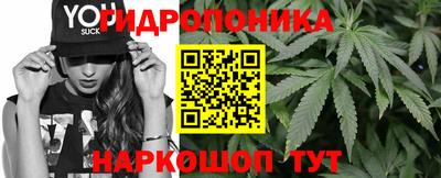 ECSTASY Гатчина