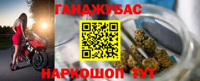 шишки Гай