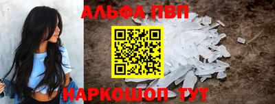 шишки Гай