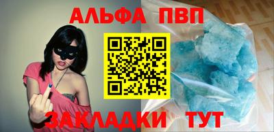 шишки Гай