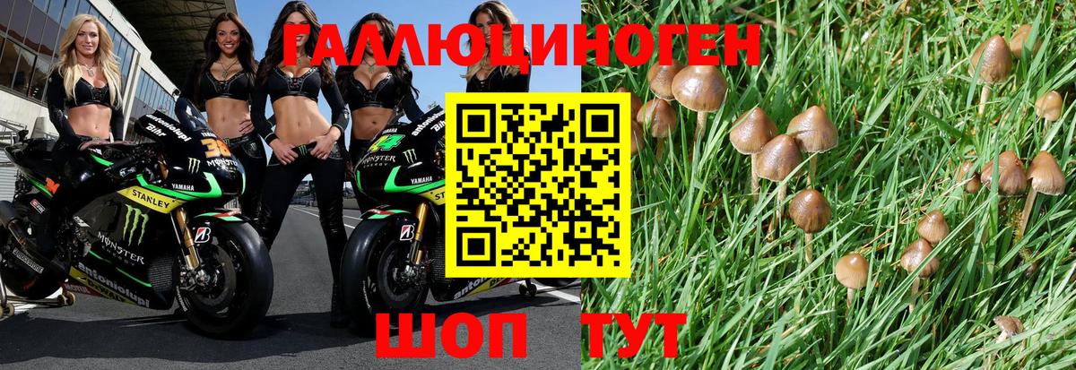 Псилоцибиновые грибы MAGIC MUSHROOMS  Вход с VPN  Комсомольск-на-Амуре  Галлюциногенные грибы Cubensis 