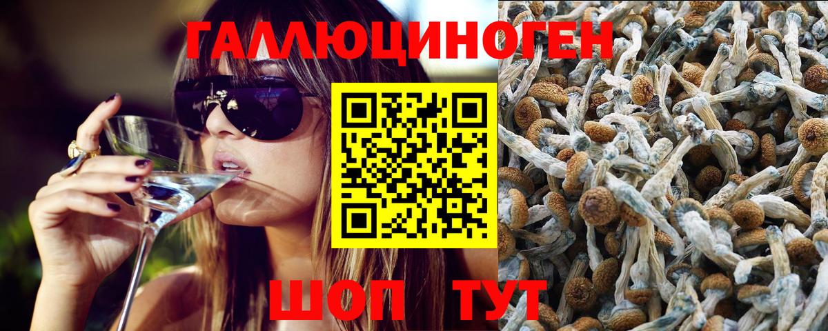 Галлюциногенные грибы мицелий Комсомольск-на-Амуре